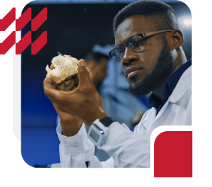 Maestría en Materiales y Procesos Industriales